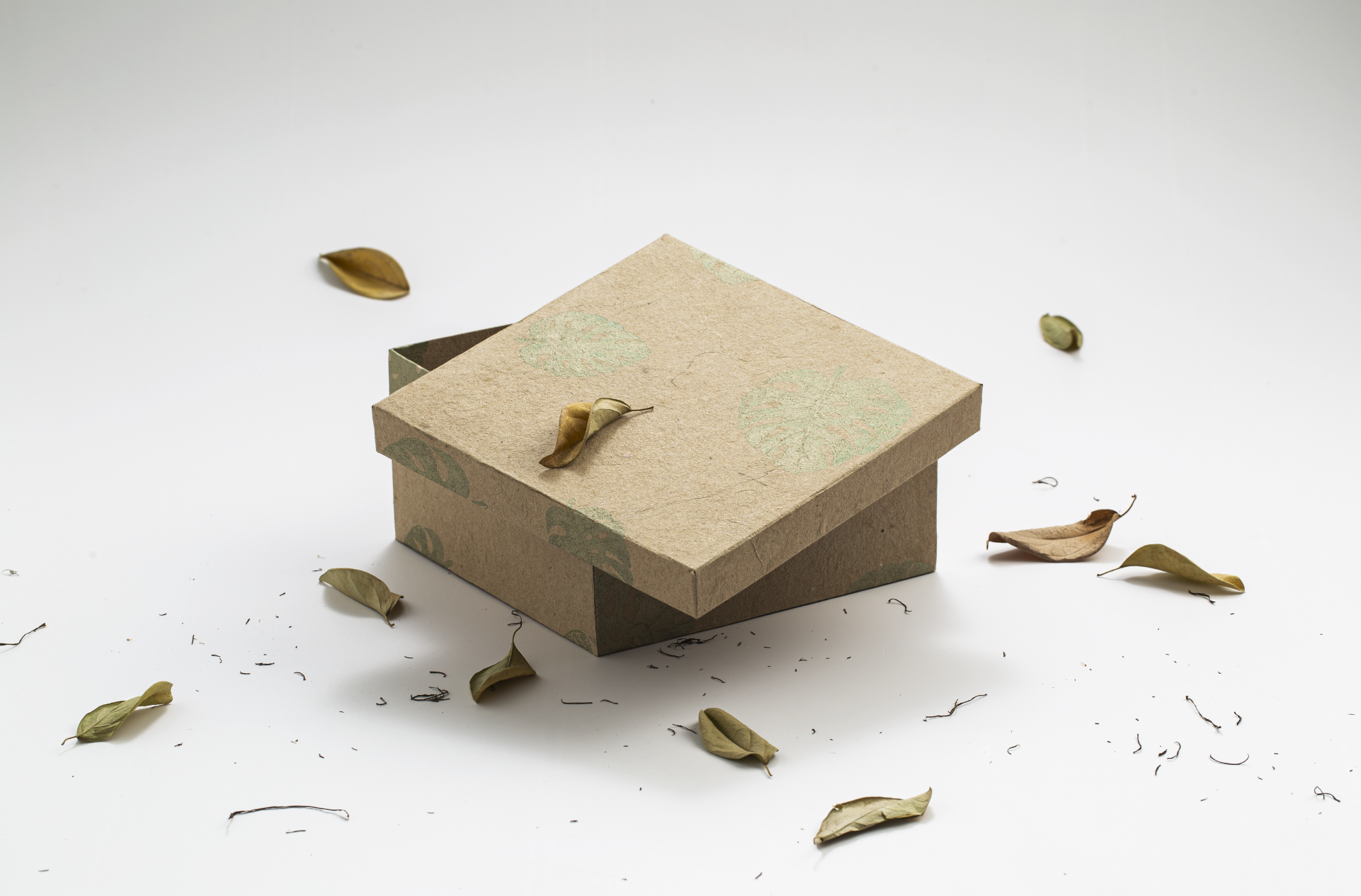A handmade recycled paper box with dried leaves