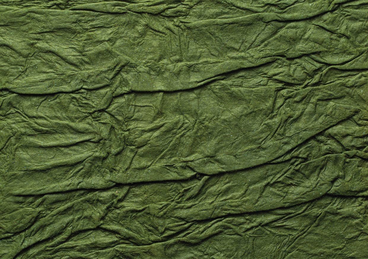 Albero paper texture